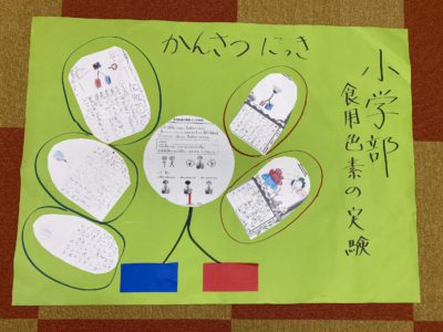 世界に一つのカーネーション