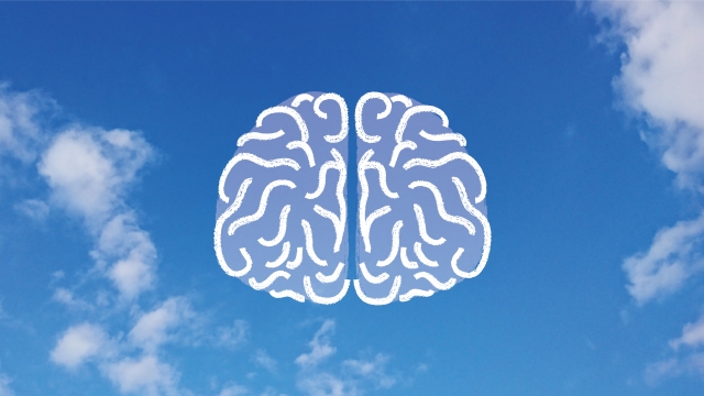 右脳と左脳の働きの違いとは？