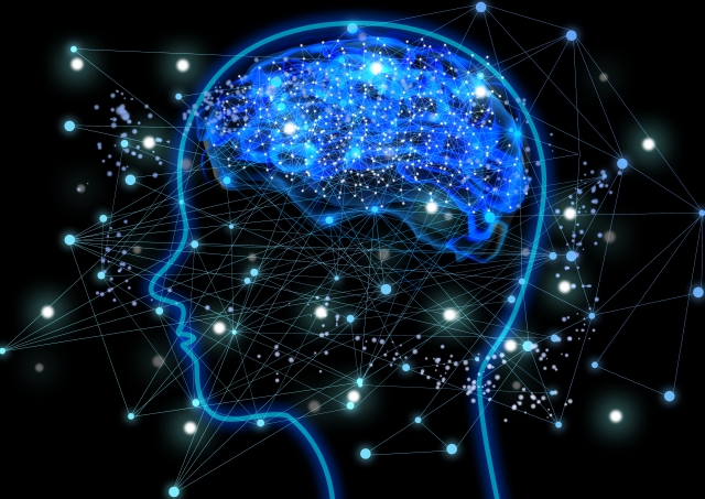 脳には旬があるって知ってますか？